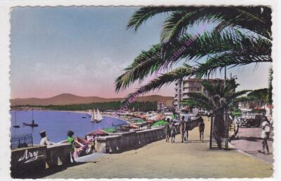 CPSM 83980 LE LAVANDOU La plage Edt TARDY ca1953
