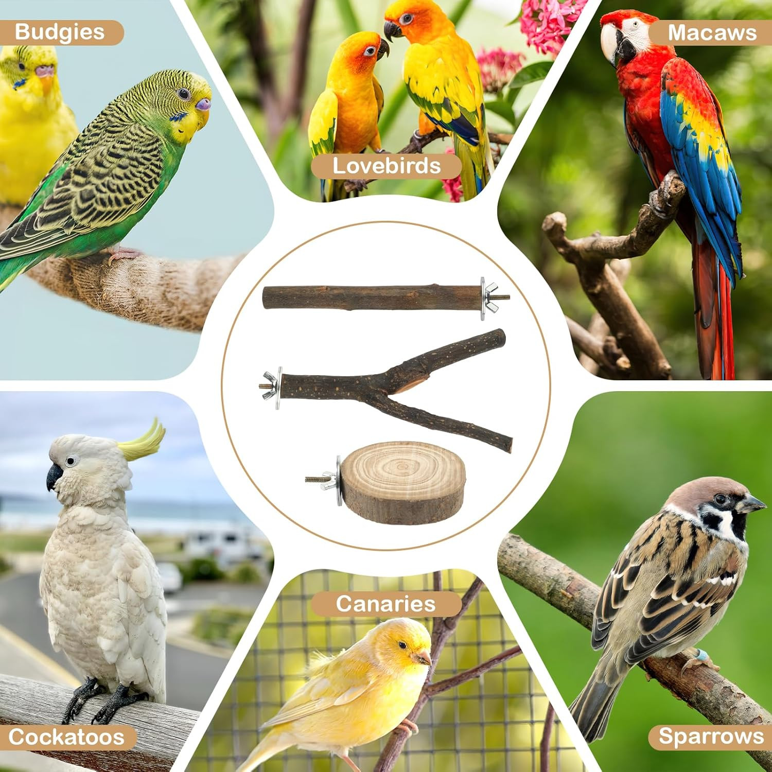 8 PCS Bird Perches for Cage, Natural Wood Parrot Perch Stand, Multi-Branch Platf