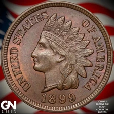 1899 Indian Head Cent Penny A9588