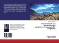Regeneration And Agrobacterium Transformation System For Sorghums John Bosco Muh