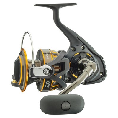 Daiwa Meeresrolle BG 3500