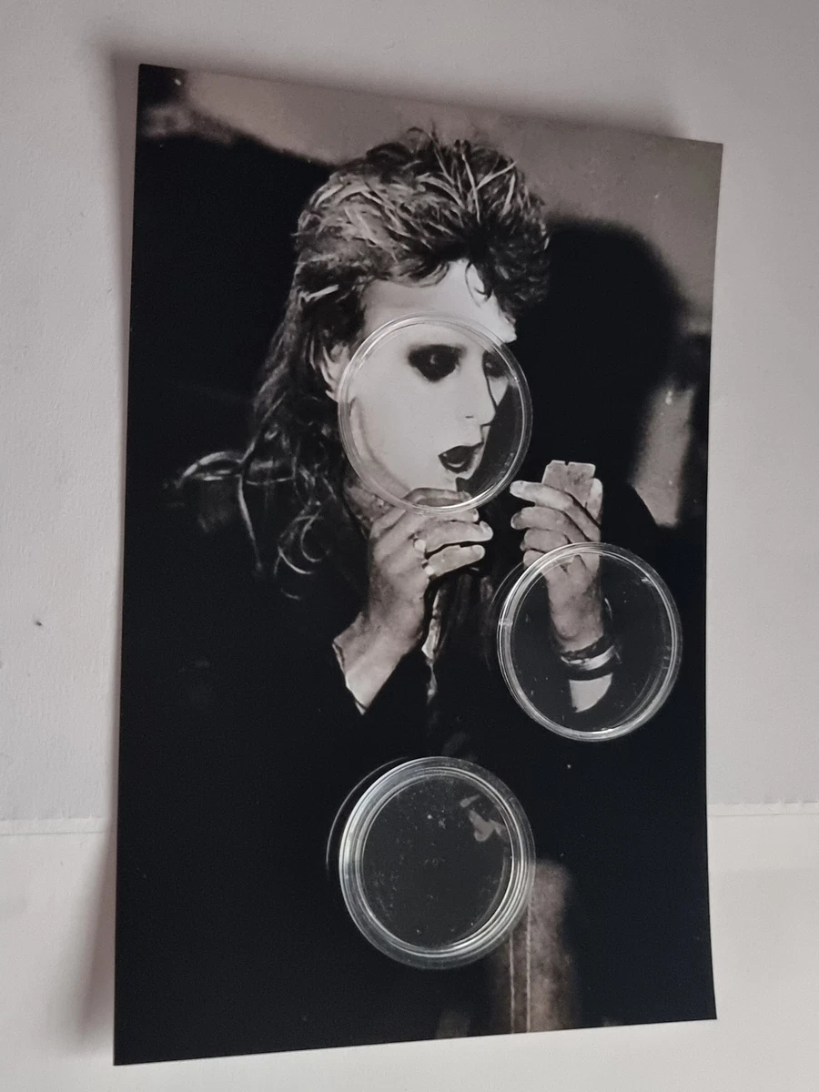 virgin prunes products for sale | eBay UK