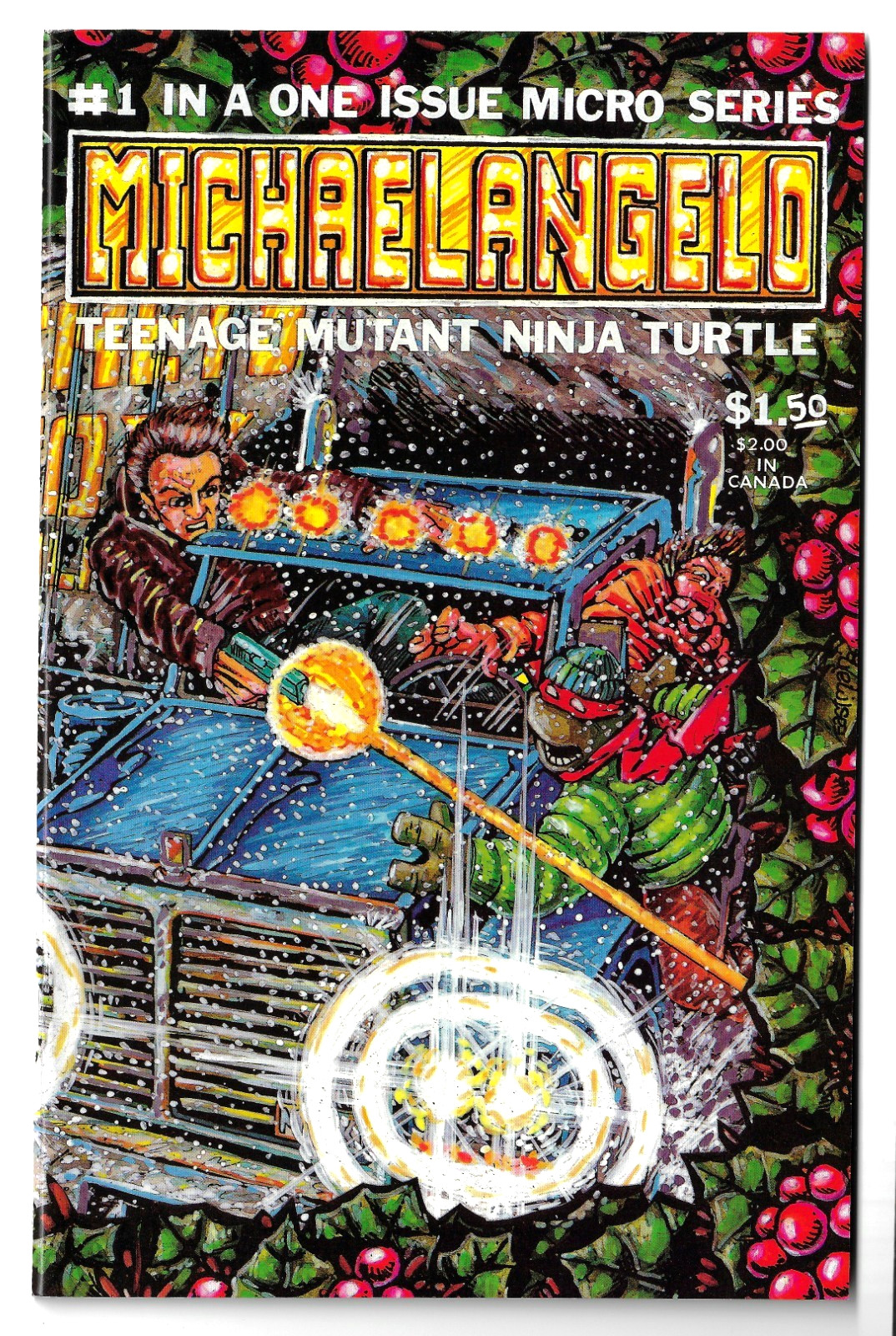 Michaelangelo Teen Age Mutant Ninja Turtle  #1  1985 Mirage Studios C2459