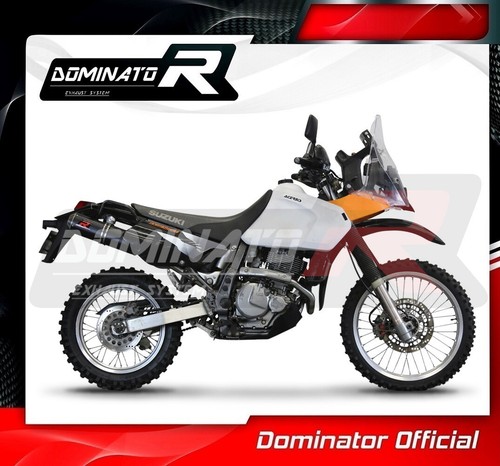 DR 650 SE / S 1996 - 2024 Head Pipe Header Collector DOMINATOR - Bild 4 von 5