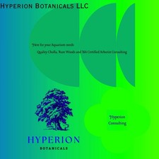 100 Pcs CHOLLA Wood Aquarium, Shrimp, Terrariums 6 Long Sale