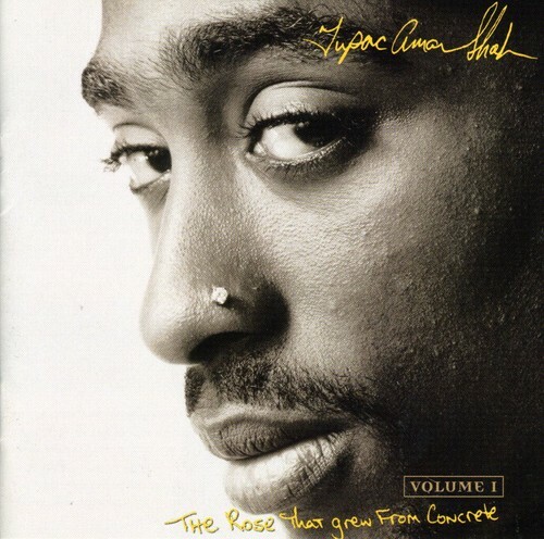 The Rose That Grew From Concrete Music 606949081324| eBay