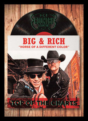 Big & Rich #14 2014 Panini Country Music - Top of the Charts