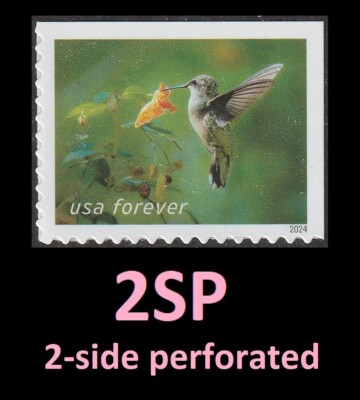 US 5846 Garden Delights Hummingbird Spotted Touch-me-not F single 2SP MNH 2024