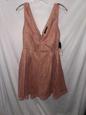 Lulus NWT Small All Of My Heart Blush Pink Lace Skater Dress V Neck Zip Closure