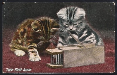 Ansichtskarte Their first Scent, Young Cats, Mouse Trap 