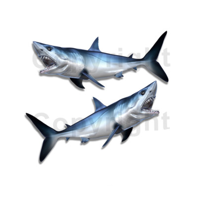 #ad Mako Shark Sticker Decal Fishing RV Boat Car Truck Camper Trailer F041 2 Pack $2.99