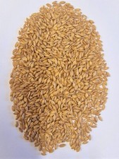 Monograno biologico, direttamente dal mulino e agricoltore