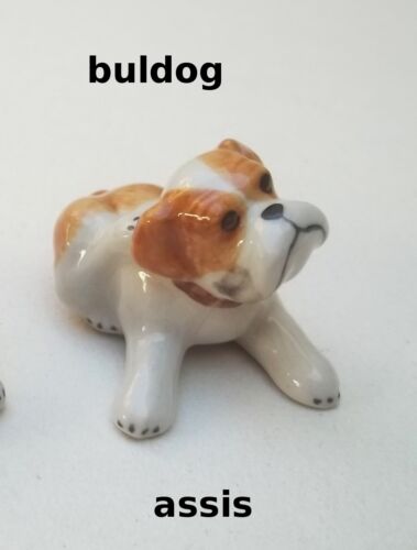 bulldog, chien, miniature, maison de poupée, vitrine, collection,dog,hond **S12 - Imagen 2 de 3