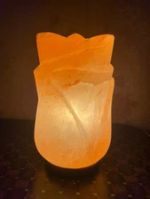 Himalayan Pink Salt Lamp Natural Tulip Shape Night Light Bedroom Decor