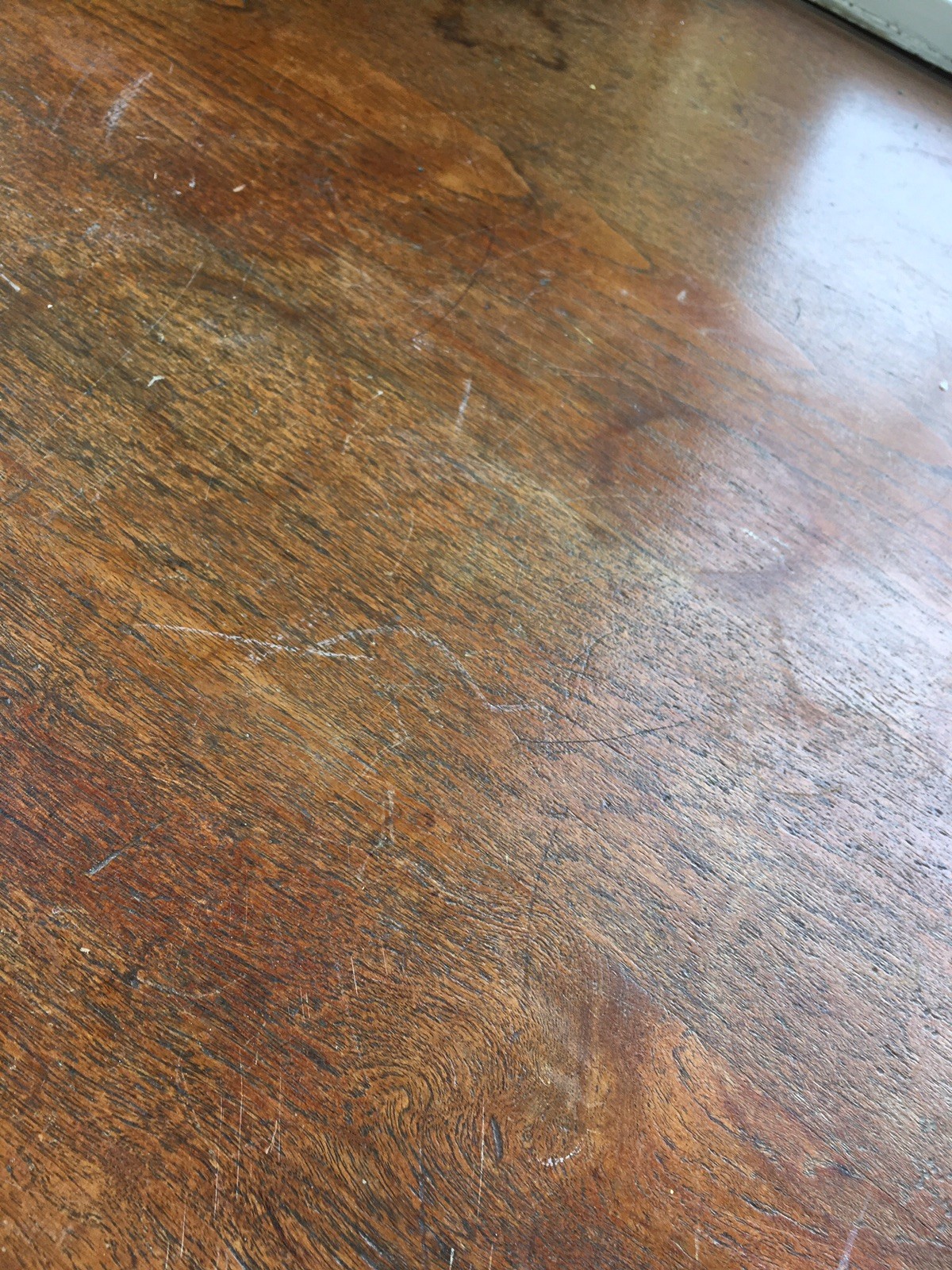 Picture 6 of 6