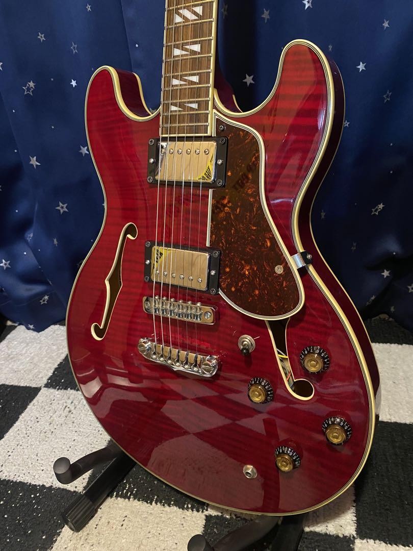 Aria Pro 2 TA-700 (Ritter Gig Bag付き) Aria Pro 2 TA-700 (Ritter Gig Bag付き)