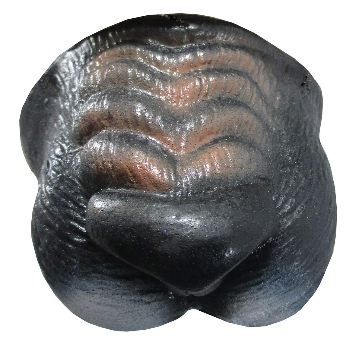 Big Bad Wolf Ears Tail Mini Nose Mask Werewolf Animal Wolfman Costume Kit Set