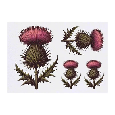 AZEEDA 4 x 'Scottish Thistle' Temporary Tattoos / Transfers (TO00078102)