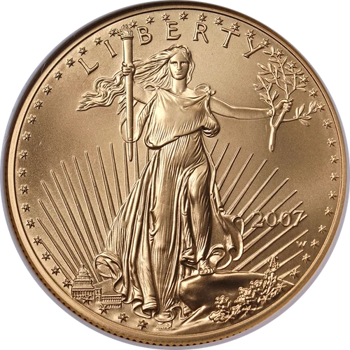 2007-W Gold American Eagle $50 NGC MS70 Burnished Brown Label - STOCK