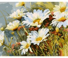 Paint By Numbers Adults Wild Daisies DIY Painting Kit 40x50CM Canvas