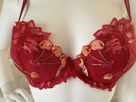 Lise Charmel Fleurs de Cerisier Cherry Embroidered Bra & Brief Set - Designer