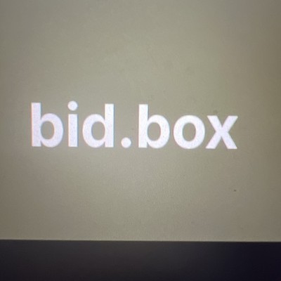 bid.box domain