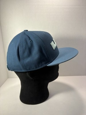 NBA Lebron James Nike True Snapback Mens Blue Hat Cap King Vector