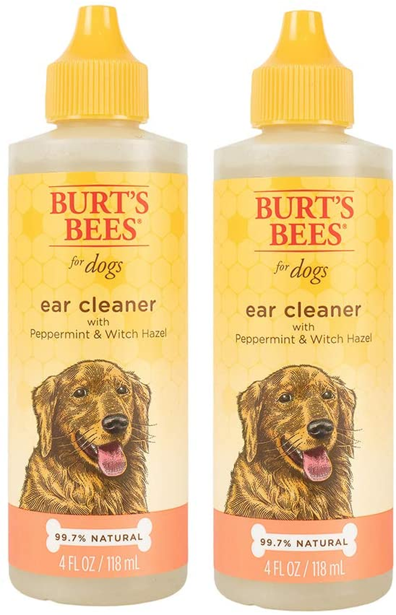 Lush Can You Use Witch Hazel On Dogs Abstract for Your Screen Lush Can You Use Witch Hazel On Dogs Abstract for Your Screen