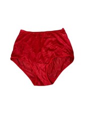 Vintage Vanity Fair Sheer Antron III Nylon Red Sz 6 Panties