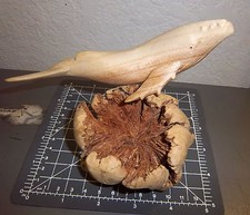 hand carved Whale on Wood Burl - awesome piece of art ! great for home or cabin