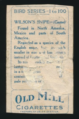 1910 T42 OLD MILL Cigarettes BIRD SERIES (Gold Borders) -Wilson's Snipe  *RARE*