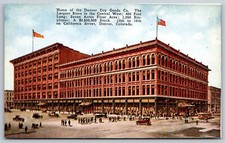 Denver Colorado DB Postcard Largest Store In The Central West Denver Dry Goods 