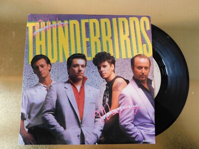 The Fabulous Thunderbirds Wrap it up Vinyl Single (ssz)