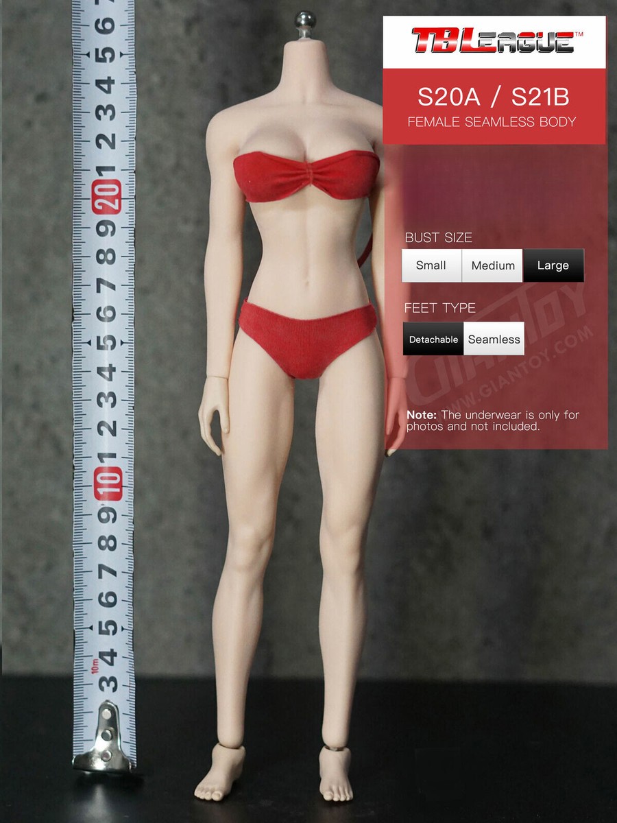 In-stock 1/6 TBLeague Phicen Standard S20A S21B Large Bust