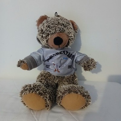 Hershey Park bear from 2015
