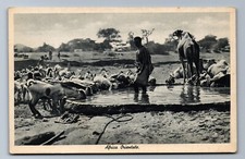 C.1940 GOATS CAMEL, WELL WATER FARMING, ERITREA ITALIAN EAST AFRICA Postcard P28