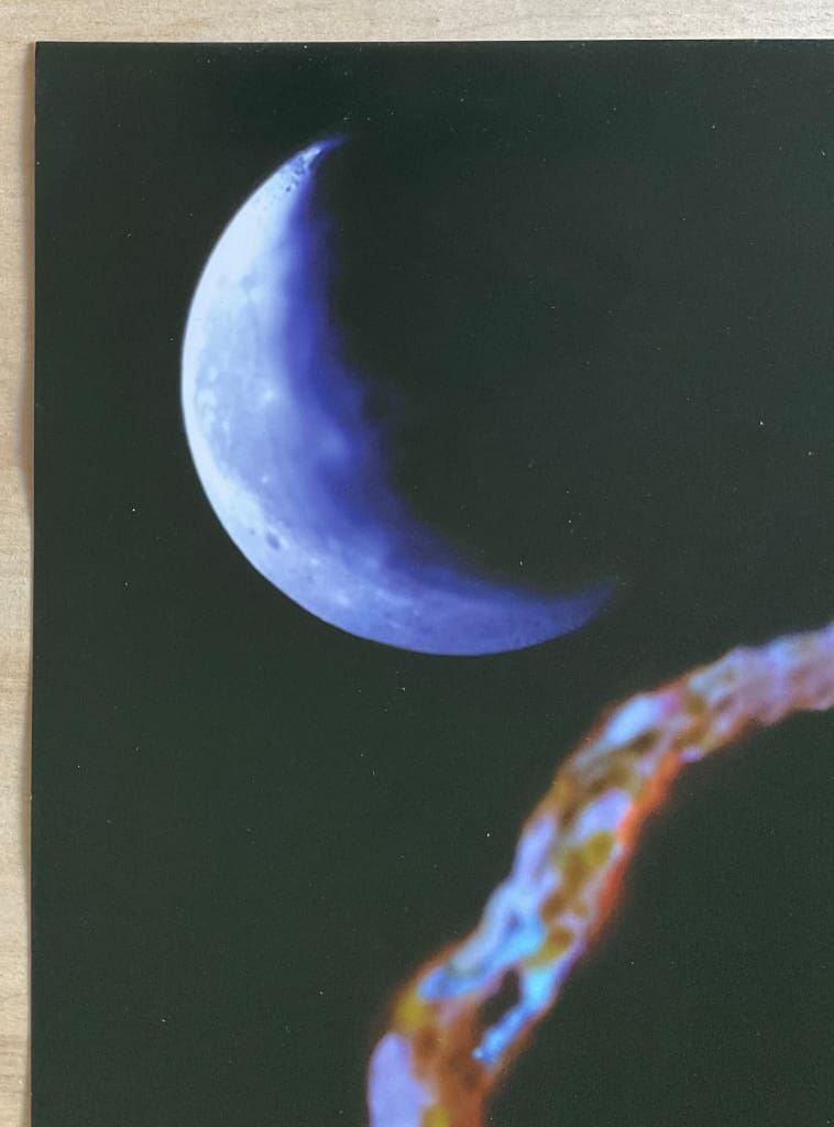 Picture 2 of 5