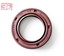 EAI 28mm x 47mm x 7mm FPM/FKM TC Double Lip w