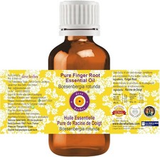 Finger Root Essential Oil Pure & Natural (Boesenbergia Rotunda) Aromatherapy