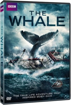 The Whale (DVD) DVD BBC