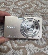 SONY Cyber-Shot DSC-WX1 10.2MP 5x Optical Zoom Digital Camera Silver