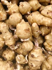 Sprouting Jerusalem Artichoke/Sunchoke - Individual Tubers For Planting