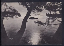 Albenga Light Effects Postcard GB1299