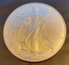 2002 American Eagle US Mint Vtg TONED-999 Silver 1 Oz Ounce Art Coin Bullion 11Y