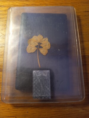 Extremely Rare 1 In A Billion- 7 LEAF CLOVER | eBay