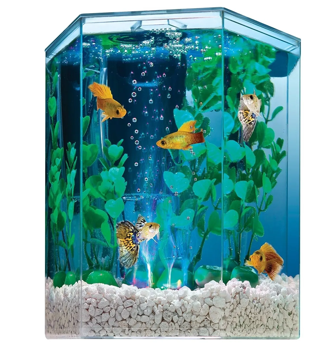 1 Gallon BEST Aquarium Kit Hexagon Shape Bubbling Color Changing