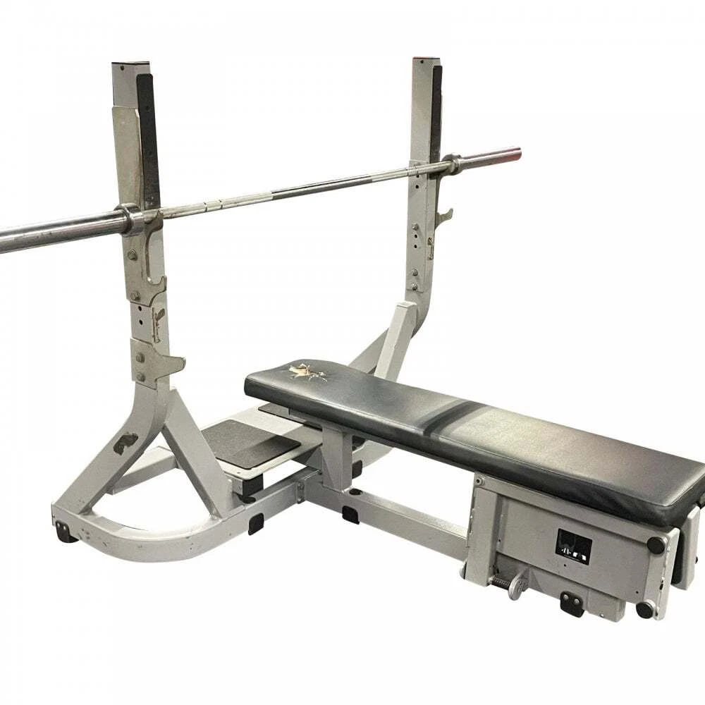 Technogym Olympic Flat Bench Press Pure Strength Silver eBay
