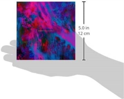 Brids Of Tokyo March Fires (CD) (UK IMPORT) - Picture 2 of 2