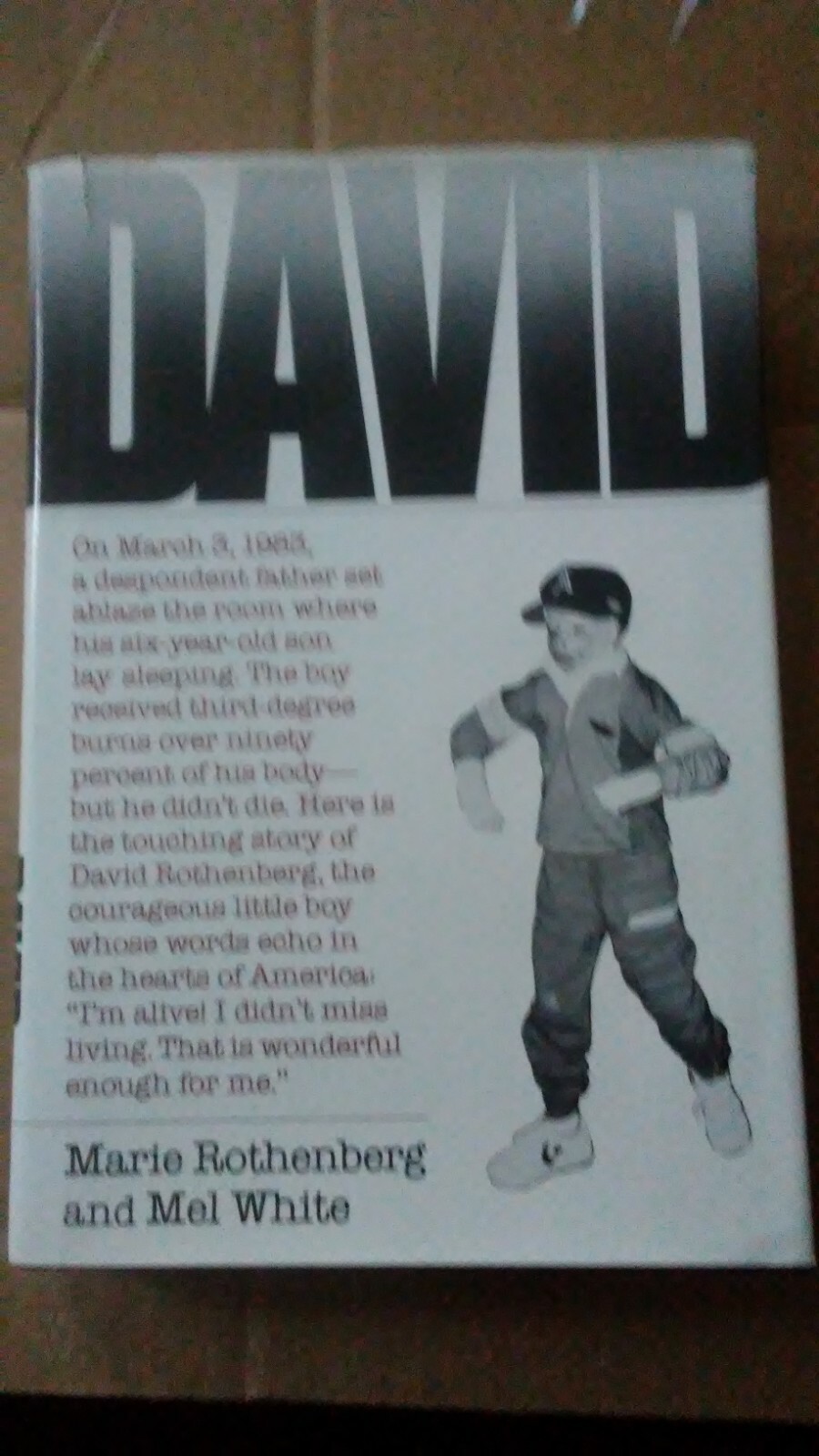 David by Marie Rothenberg & Mel White