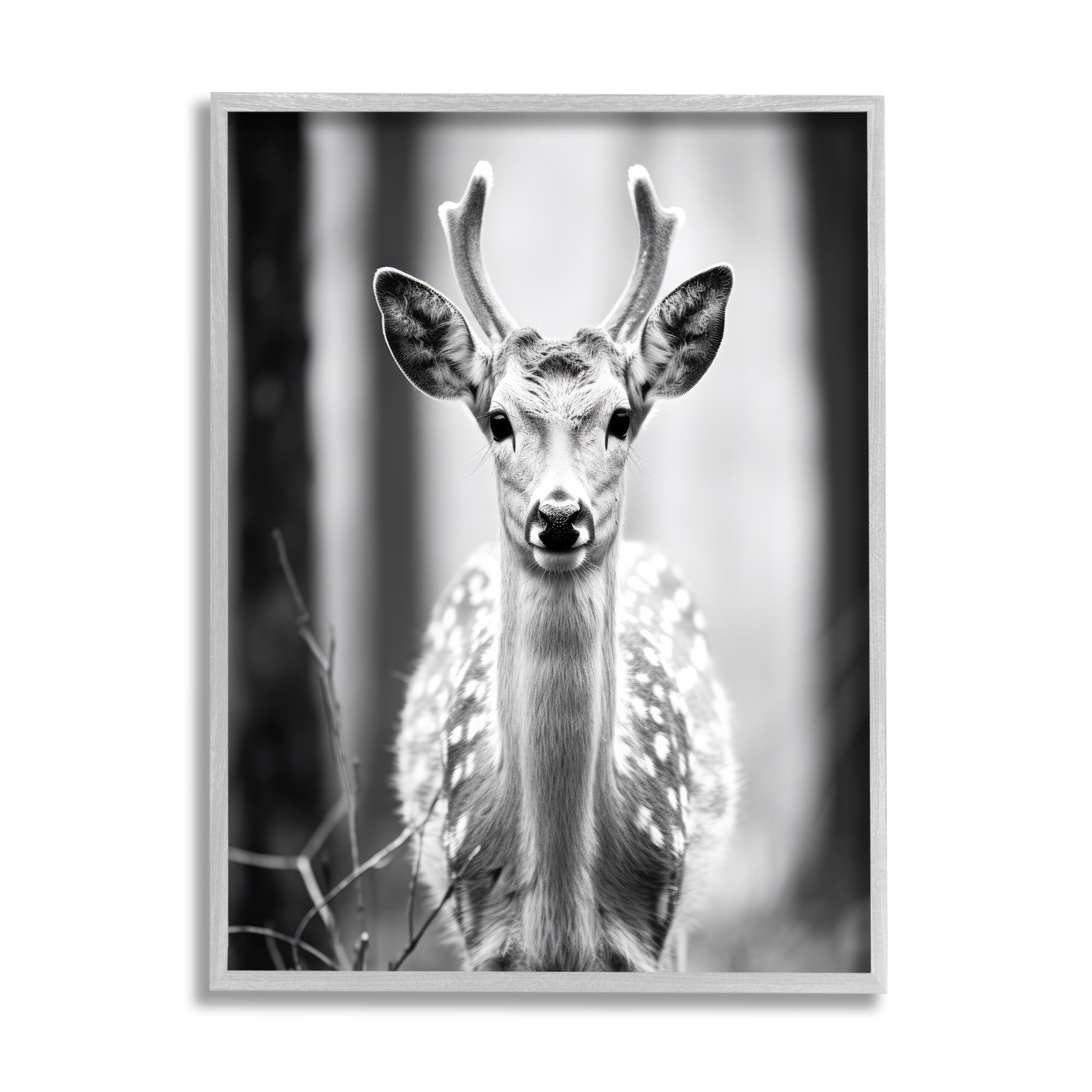 Baby Fawn Photography Framed Giclee Art by Ray Powers